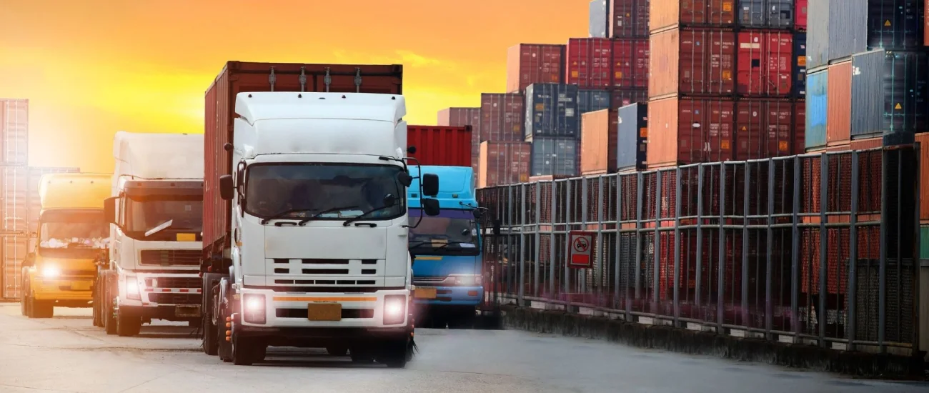 Challenges of Egyptian Land Shipping